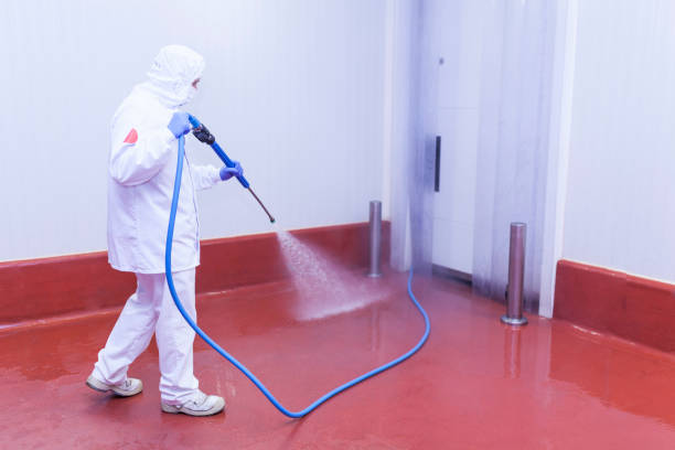 Best Gas Station Cleaning  in Limestone Creek, FL